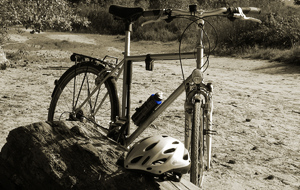 Animations d'avril et mai 2026